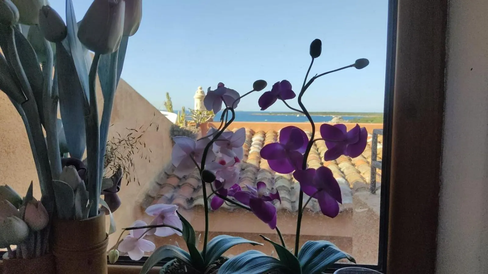 Apartment Soleluna - Ad Un Passo Dal Mare Marinella